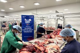Bosowa Peduli salurkan hewan kurban untuk warga Gaza Palestina 
