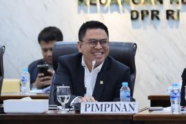Anggota DPR RI Kepri apresiasi langkah presiden tertibkan IUP tambang