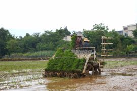 Teknologi pacu produksi pertanian di Yunnan, China Barat Daya