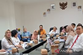 Banjarmasin susun aturan perlindungan perempuan dan anak