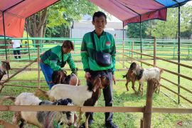 Grab bagikan ratusan ekor kambing bagi mitra pengemudi di Idul Adha 1446 H