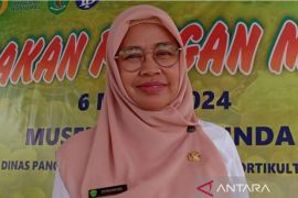 Pemprov Kaltim optimalisasi lahan 13.973 hektare wujudkan swasembada pangan