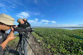 BIOTA gelar WMBD 2025 di Danau Limboto