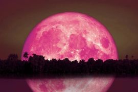Fenomena Bulan Stroberi kembali setelah 18 tahun, jangan lewatkan malam ini