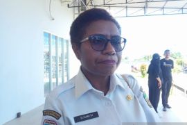 Pemkab fokus kembangkan wisata hutan mangrove Mimika