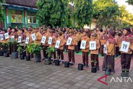 Madrasah di Jembrana tanam pohon endemik dari Papua untuk penghijauan