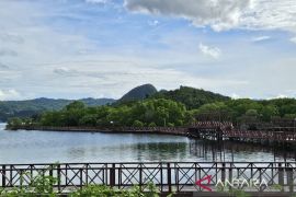 Pemprov Papua mengajukan perubahan fungsi hutan seluas 824 ribu hektare