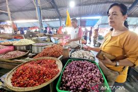 Kemenkeu: Penyaluran KUR di Papua Barat capai Rp129,93 miliar per Mei
