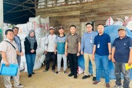 Bulog Cabang Rejang Lebong serap 809 ton beras petani