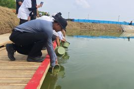 Lahan Lapas  Kendal jadi kolam ikan untuk dukung ketahanan pangan