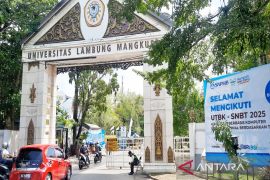 ULM enters top five universities outside Java