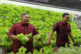Rutan Samarinda  bina WBP terampil agribisnis dukung ketahanan pangan