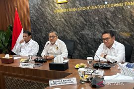 Indonesia to send 10,000 tons of rice aid to Palestine