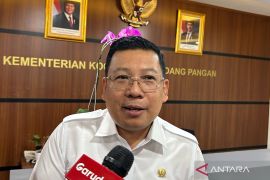 Bapanas: Penyaluran bantuan pangan diutamakan wilayah Indonesian timur