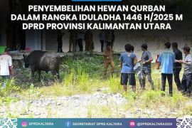 DPRD Kaltara Melaksanakan Penyembelihan Hewan Kurban