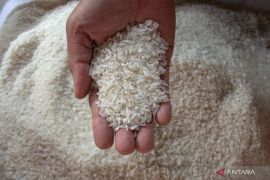 Indonesia plans single-price rice policy starting 2026
