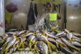 Dislutkan optimalkan tiga komoditi budidaya unggulan di NTB