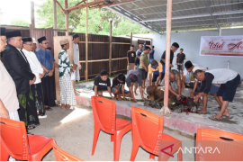 UNG Berkurban 20 Ekor Sapi Dimomen Hari Raya Idul Adha 1446 Hijriah