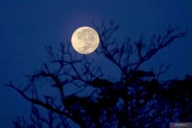 Fenomena Cold Moon: Purnama akhir tahun yang indah di langit Desember