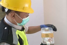 Karantina NTB gagalkan penyelundupan dua ekor ular amelanistik asal Surabaya