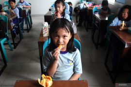 Orangtua Jadi Kunci Anak Suka Camilan Sehat, Bukan Iklan Makanan