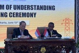 Indonesia agrees to supply clean electricity to Singapore