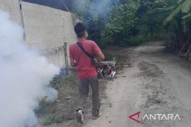 Pemerintah Bangka optimalkan upaya tekan DBD