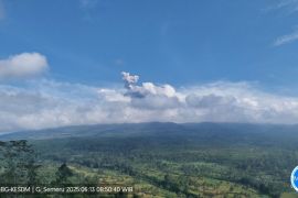 Semeru kembali alami erupsi dengan tinggi letusan 700 meter di atas puncak