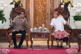 Menteri Ekraf dorong nomenklatur dinas daerah belajar dari Bali
