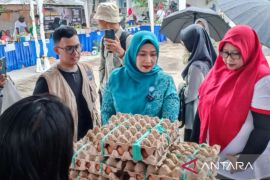 DPTH Kaltim  gelar pangan murah untuk stabilisasi harga bahan pokok