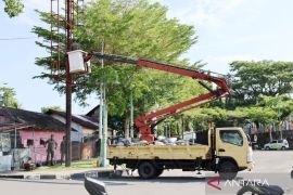 Pemkot Pariaman catat 157 tiang baliho langgar Perwako