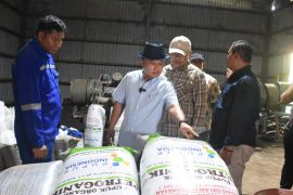 Pemkab Kuningan mengoptimalkan pemanfaatan limbah kohe jadi pupuk organik