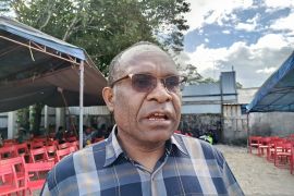 Waket MRP Pegunungan harap pemda batasi aktivitas galian C tak ramah lingkungan