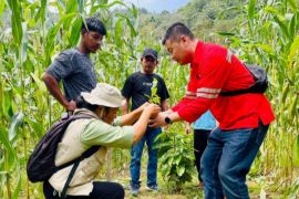 Dari komitmen ke aksi nyata,  Dairi Prima Mineral menggelar pelatihan kepada 120 petani kopi di Dairi