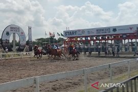 Ratusan kuda se-Indonesia berlaga dalam kejuaraan kuda balap di Bantul DIY