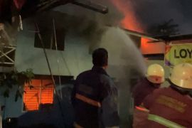 Empat rumah di Pekanbaru dilahap Si jago merah