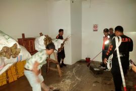 Pemkab Jembrana minta kontraktor tanggulangi banjir di Pasar Negara