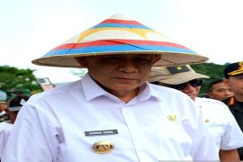 Serapan gabah dan beras Gorontalo oleh Bulog mulai capai target