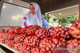 BPS sebut harga bawang merah naik di 41,11 persen wilayah Indonesia