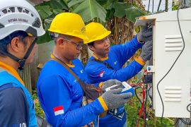 PLN dukung pertumbuhan industri veneer dan biomassa di Belitung Timur