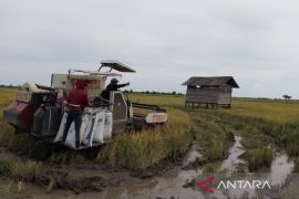 Petani Kabupaten Penajam  diminta percepat garap lahan tanam padi