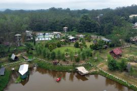 Padang Panjang BUMDes develops local potential with Adaro's assistance