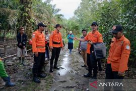 Tim SAR gabungan cari pemuda hilang di perkebunan sawit Bangka Barat