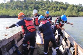 PT Timah tebar ratusan kepiting bakau di perairan Kundur