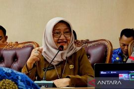 BNPP tekankan pentingnya pendaftaran pulau dengan titik koordinat akurat