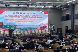 Gubernur Kambu: Bupati-Wali Kota akomodasi isu strategis dalam RPJMD