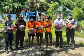 Polresta Jayapura Kota memusnahkan 5,7 kilogram ganja