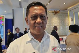 Pemprov Papua gunakan pompanisasi atasi dampak di musim kemarau