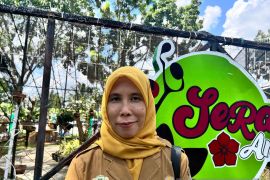 Pengumuman hasil seleksi PPPK tahap dua di Batang Hari belum keluar