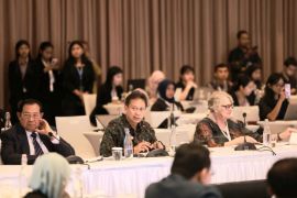 Kemenkes fokus 2 hal kejar eliminasi malaria 2030